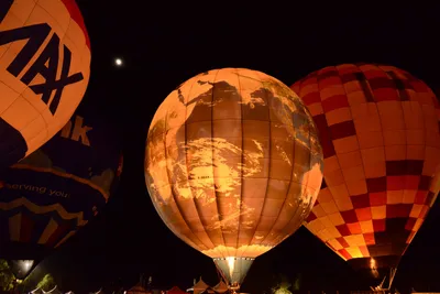 DSC_2442 (Large).JPG